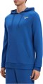 Купить оптом Толстовка Reebok IDENTITY SMALL LOGO FT HOODIE 100217208 100217208