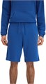 Купить оптом Шорты Reebok IDENTITY SMALL LOGO FT SHORT 100217212 100217212