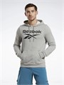 Купить оптом Толстовка Reebok IDENTITY BIG LOGO FT HOODIE 100221782 100221782