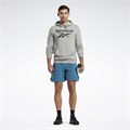 Купить оптом Толстовка Reebok IDENTITY BIG LOGO FT HOODIE 100221782 100221782
