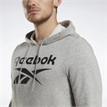 Купить оптом Толстовка Reebok IDENTITY BIG LOGO FT HOODIE 100221782 100221782