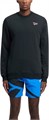 Купить оптом Джемпер Reebok IDENTITY SMALL LOGO FT CREW 100221788 100221788