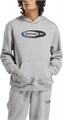 Купить оптом Толстовка Reebok RI BRAND PROUD HOODIE 100222864 100222864