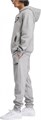 Купить оптом Толстовка Reebok RI BRAND PROUD HOODIE 100222864 100222864