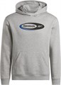 Купить оптом Толстовка Reebok RI BRAND PROUD HOODIE 100222864 100222864