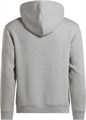 Купить оптом Толстовка Reebok RI BRAND PROUD HOODIE 100222864 100222864