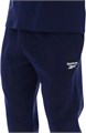 Купить оптом Брюки Reebok ANDRE SMALL LOGO CUFFED PANT 100240235 100240235