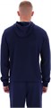 Купить оптом Толстовка Reebok ALLAN PULLOVER HOODY 100240382 100240382