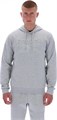Купить оптом Толстовка Reebok ALLAN PULLOVER HOODY 100240383 100240383