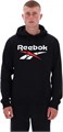 Купить оптом Толстовка Reebok TRENT 2 COL LOGO HOODY 100240547 100240547