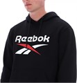 Купить оптом Толстовка Reebok TRENT 2 COL LOGO HOODY 100240547 100240547