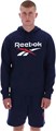 Купить оптом Толстовка Reebok TRENT 2 COL LOGO HOODY 100240548 100240548