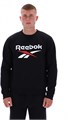 Купить оптом Джемпер Reebok JULIAN 2 COL LOGO CREWNECK Кофта 100240704 100240704
