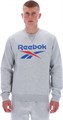 Купить оптом Джемпер Reebok JULIAN 2 COL LOGO CREWNECK Кофта 100240707 100240707