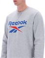 Купить оптом Джемпер Reebok JULIAN 2 COL LOGO CREWNECK Кофта 100240707 100240707