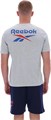 Купить оптом Футболка Reebok MITCHAM FRNT BK LOGO CREW NECK SS TEE 100240878 100240878