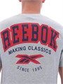 Купить оптом Футболка Reebok HAROLD CREWNECK SS TEE 100240899 100240899