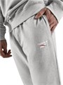 Купить оптом Брюки Reebok ID SMALL LOGO FRENCH TERRY JOGGER Брюки 100252239 100252239