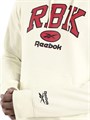 Купить оптом Толстовка Reebok RBK COLLEGIATE HOODIE 100253127 100253127