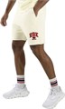 Купить оптом Шорты Reebok RBK COLLEGIATE SHORTS 100253133 100253133