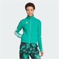 Купить оптом Ветровка adidas W TIRO Q2 SJ TT JG4105 JG4105