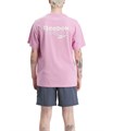 Купить оптом Футболка Reebok RI BRAND PROUD GFX SS TEE 100075310 100075310