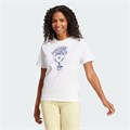 Купить оптом Футболка adidas W T ILLU TEE JN9126 JN9126