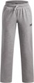 Купить оптом Брюки Under Armour RIVAL LW PANT 6009318-011 6009318-011
