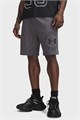 Купить оптом Шорты Under Armour Rival LW Graphic Shorts 6014689-025 6014689-025