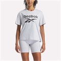 Купить оптом Футболка Reebok NOVA BIG LOGO OVERSIZED CRW SS TEE 100241378 100241378