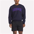 Купить оптом Джемпер Reebok FRESHMAN CREW Кофта 100253050 100253050