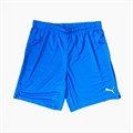 Купить оптом Шорты игровые Puma FCDM Shorts 77098901 77098901
