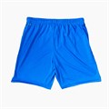 Купить оптом Шорты игровые Puma FCDM Shorts 77098901 77098901