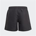 Купить оптом Шорты для плавания adidas YB BOS SHORTS GQ1063 GQ1063