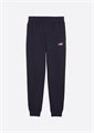 Купить оптом Puma Брюки Ess 2 Color Logo Sweatpants, 68471419 68471419