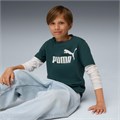 Купить оптом Puma Футболка Ess No. 1 Logo Tee, 68490675 68490675
