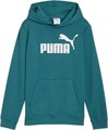 Купить оптом Puma Джемпер Ess No. 1 Logo Hoodie Tr, 68490941 68490941