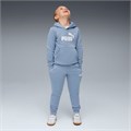Купить оптом Puma Комплект (толстовка, Брюки) Ess No.1 Logo Sweat Suit, 68523834 68523834