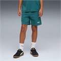 Купить оптом Puma Шорты Ess 2 Color Logo Shorts Tr, 68582642 68582642