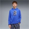 Купить оптом Puma Джемпер Спорт. Назнач. Active Sports Hoodie, 69175750 69175750