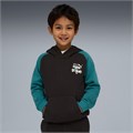Купить оптом Puma Джемпер Super Hoodie, 69191901 69191901
