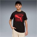 Купить оптом Puma Футболка Graphic Tee, 69211601 69211601