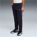 Купить оптом Puma Брюки Evostripe Pants, 69251016 69251016