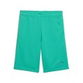Купить оптом Puma Шорты Ess Small No.1 Logo Shorts T, 69297440 69297440