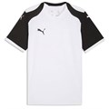 Купить оптом Puma Футболка Спорт. Назнач. Teamfinal26 Knit Jersey Jr, 70665204 70665204