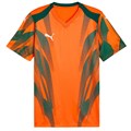 Купить оптом Puma Футболка Спорт. Назнач. Teamfinal Graphic+ Jersey, 70665437 70665437