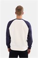 Купить оптом Свитшот Anta SPORTS CLUB Кофта 852618724-3 852618724-3