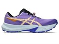 Купить оптом Кроссовки Asics FUJI LITE 6 1012B865-500 1012B865-500