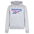 Купить оптом Толстовка Reebok TRENT 2 COL LOGO HOODY 100240549 100240549