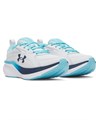 Купить оптом Кроссовки Under Armour W Assert 11 6006724-024 6006724-024